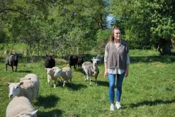 Clearance GY ILSE — Toppar