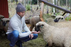 Fashion NLS ELM, 100% OFÄRGAD ULL — Ziptröjor